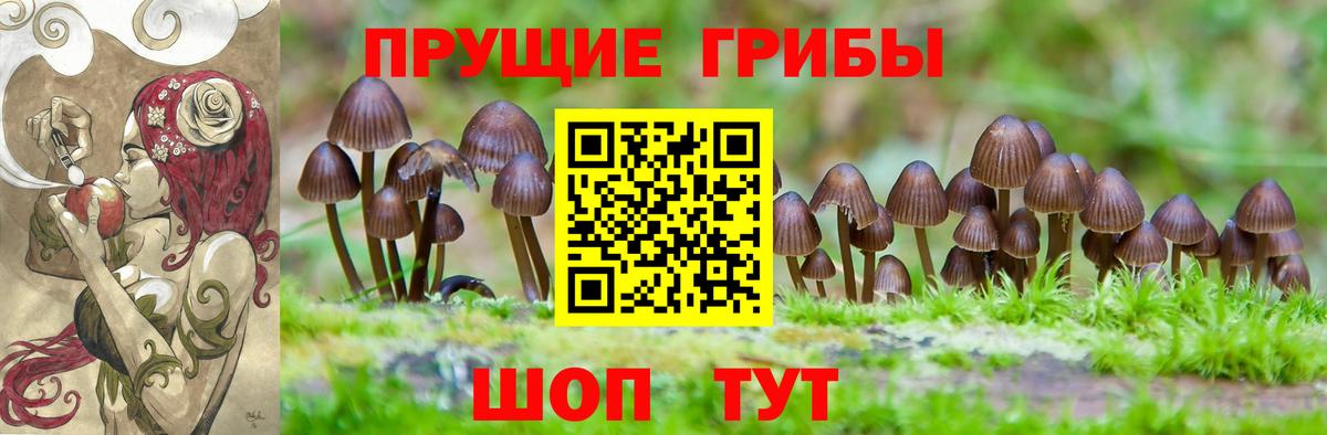 Семёнов  магазин продажи наркотиков  Вход с VPN  Псилоцибиновые грибы GOLDEN TEACHER 