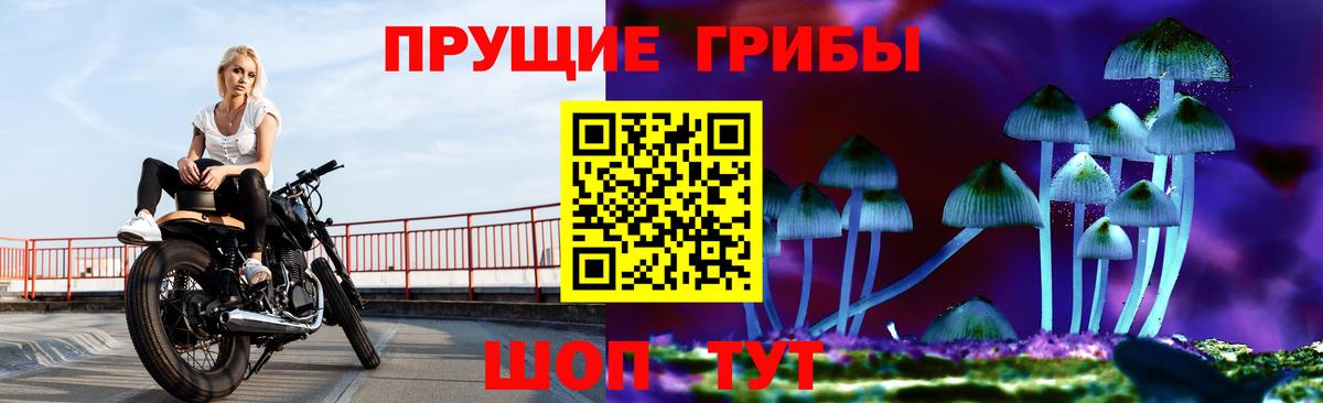 Псилоцибиновые грибы GOLDEN TEACHER Семёнов